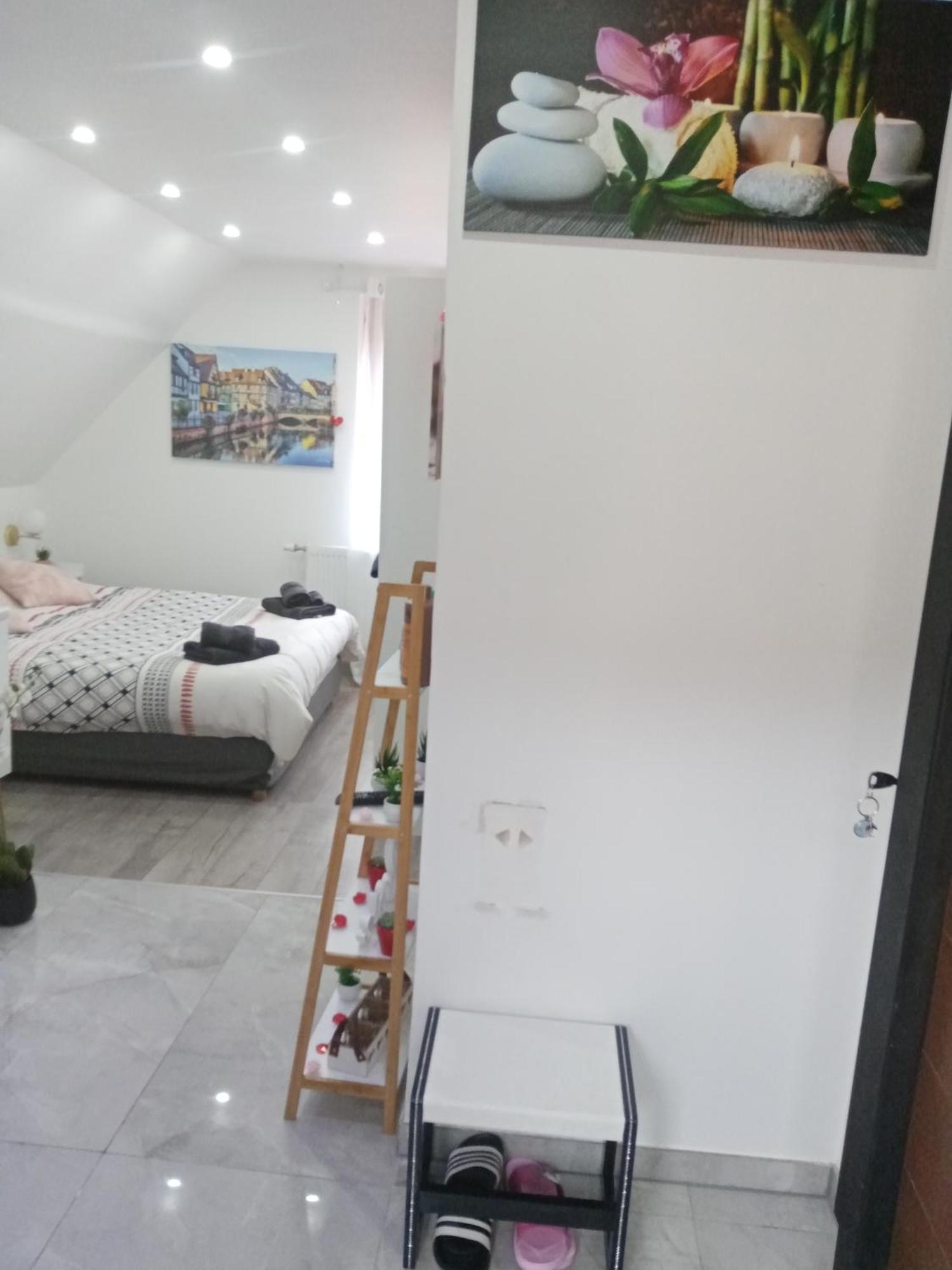 Studio Jacuzzi Au Centre 콜마 객실 사진